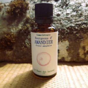 Bourgeon d'Amandier Bio