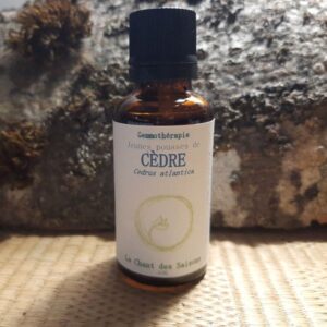 Jeune Pousse de cèdre bio 30ml