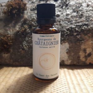 Bourgeon de Châtaignier bio 30ml
