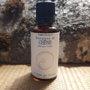 Bourgeon de Chêne pédonculé bio 30ml