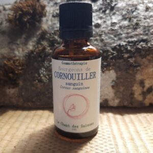 Bourgeon de Cornouiller Sanguin bio 30ml