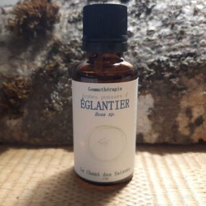 Jeune Pousse d'Eglantier bio 30ml