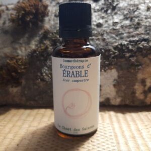 Bourgeon d’Érable bio 30ml
