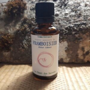 Jeune Pousse de Framboisier bio 30ml