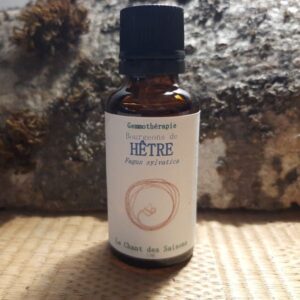 Bourgeon de Hêtre bio 30ml