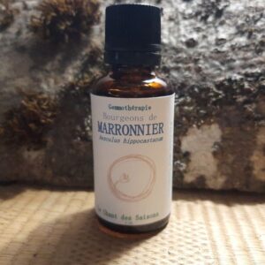 Bourgeon de Marronnier bio 30ml
