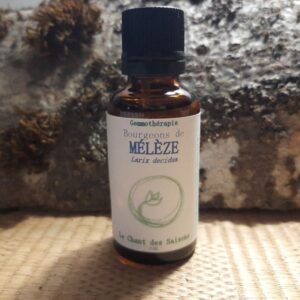 Bourgeon de Mélèze bio 30ml
