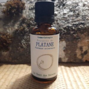Bourgeon de Platane bio 30ml