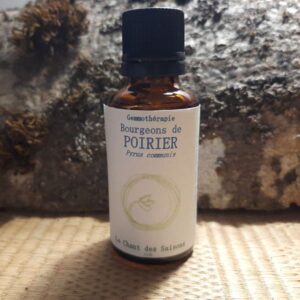 Bourgeon de Poirier bio 30ml