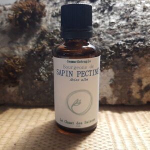 Bourgeon de Sapin Pectiné bio 30ml