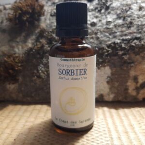 Bourgeon de Sorbier domestique bio 30ml