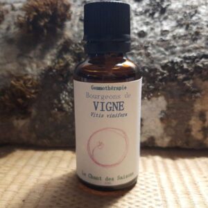 Bourgeon de Vigne bio 30ml