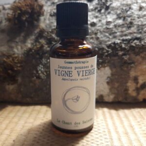 Bourgeon de Vigne Vierge bio 30ml